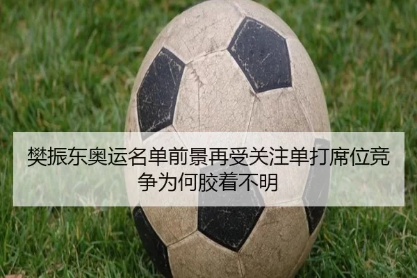 樊振东奥运名单前景再受关注单打席位竞争为何胶着不明